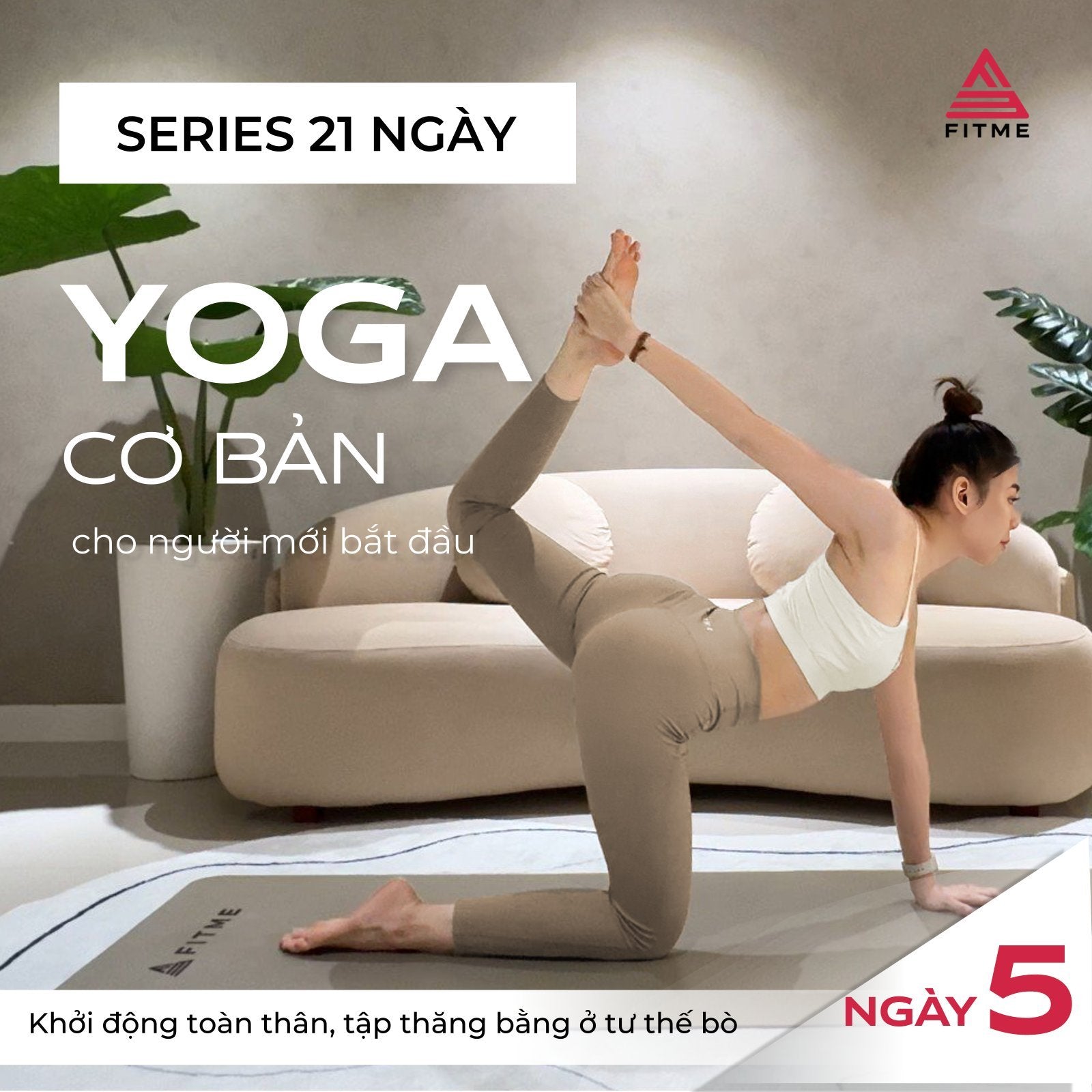 Ngày 5: Khởi động toàn thân ở tư thế ngồi, tập thăng bằng ở tư thế bò - Series 21 ngày yoga cơ bản